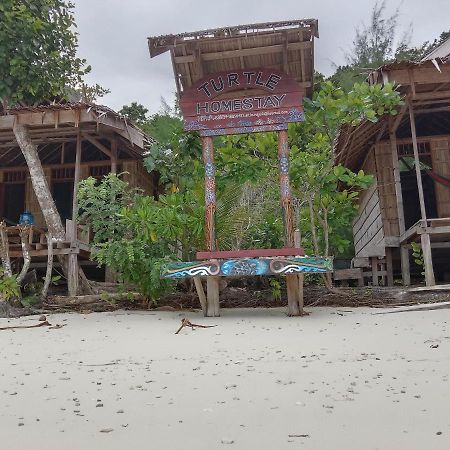 Turtle Dive Homestay Kri Buitenkant foto